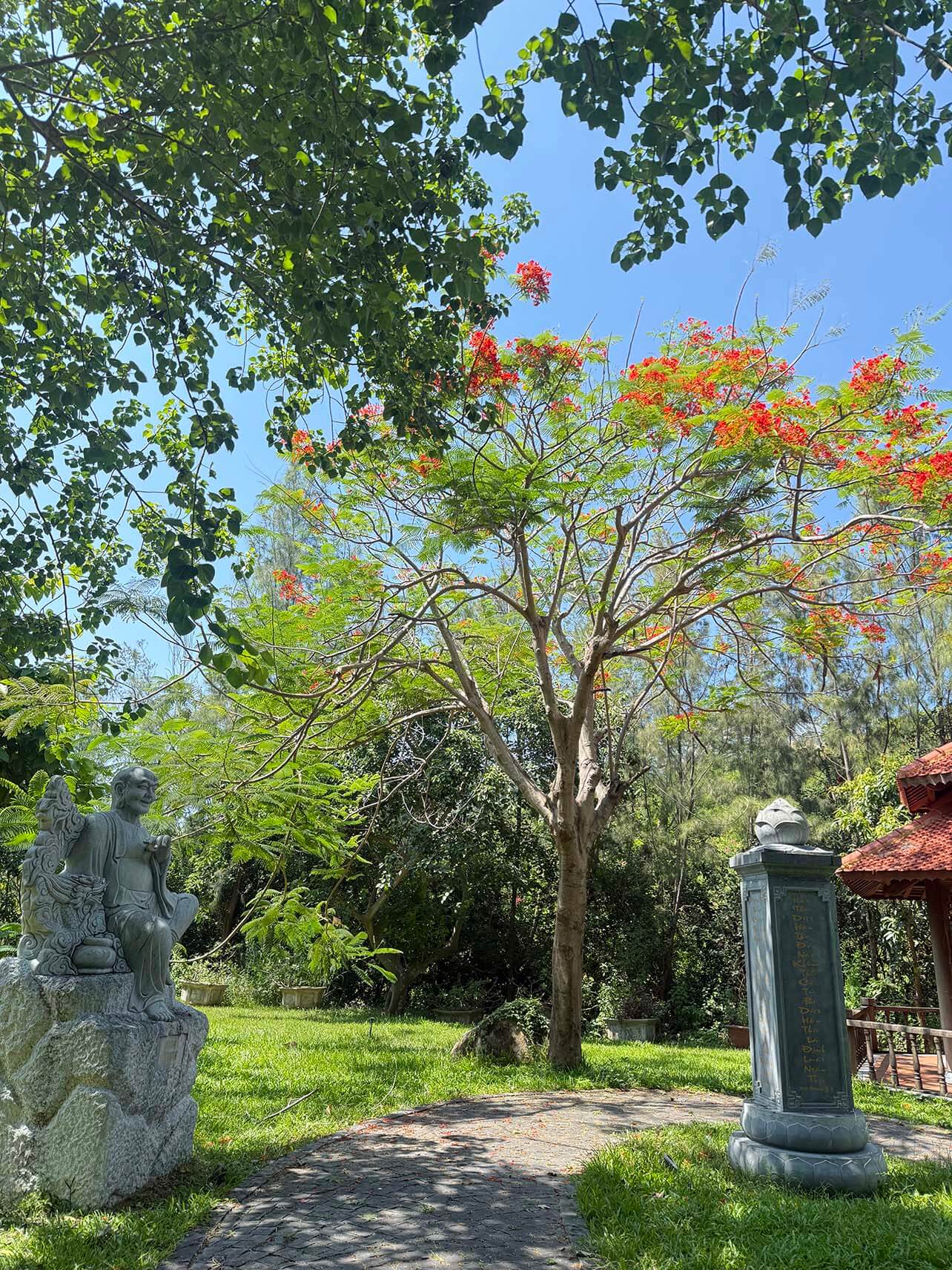 Thiền Âm Thanh & Trải Nghiệm Sound Healing Giữa Thiên Nhiên