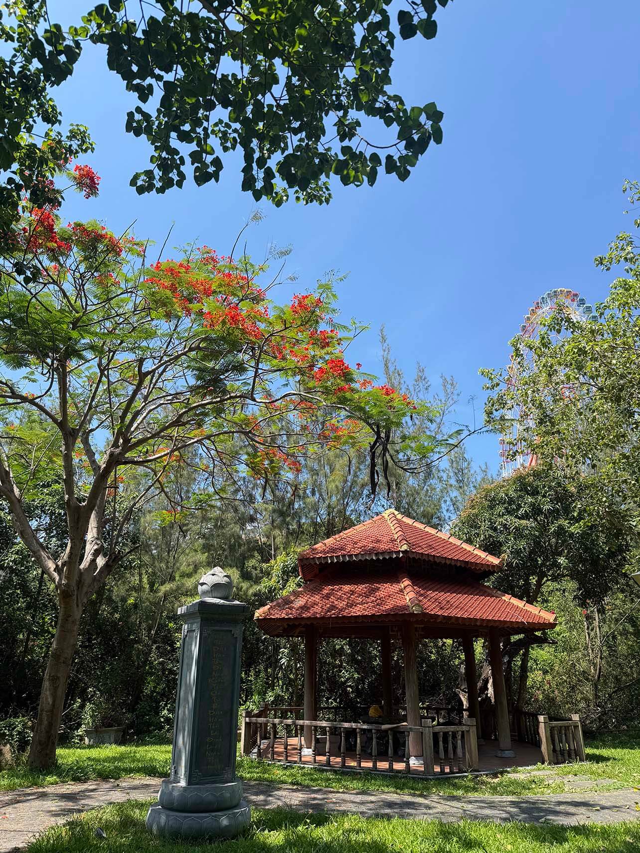 Thiền Âm Thanh & Trải Nghiệm Sound Healing Giữa Thiên Nhiên