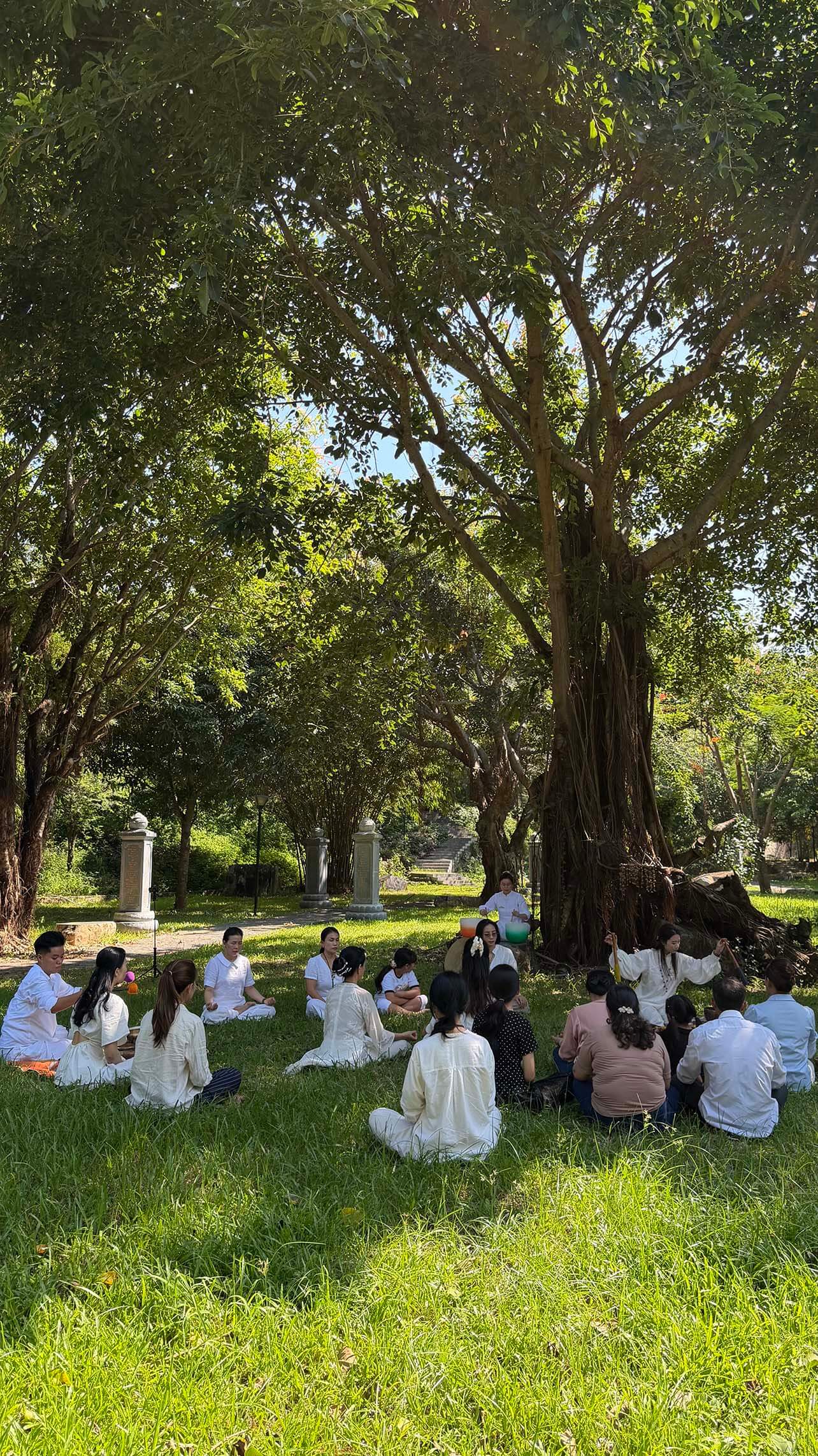 Thiền Âm Thanh & Trải Nghiệm Sound Healing Giữa Thiên Nhiên