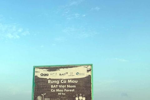 du lich chua lanh ca mau hoi tho viet nam 1 11